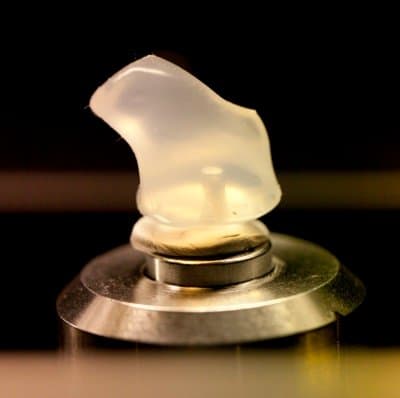 Post-in 3D-öronscanning med retur av formgjutna produkter/avgjutningar